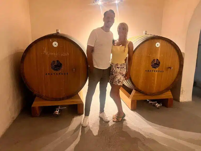 Treasures of Ancient Akrotiri and Santorini Wineries