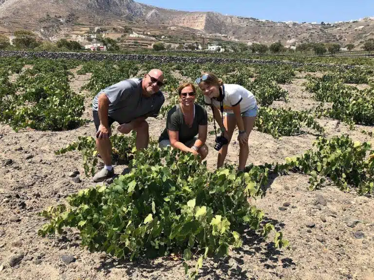 Private Santorini Wine Tour with Dinner