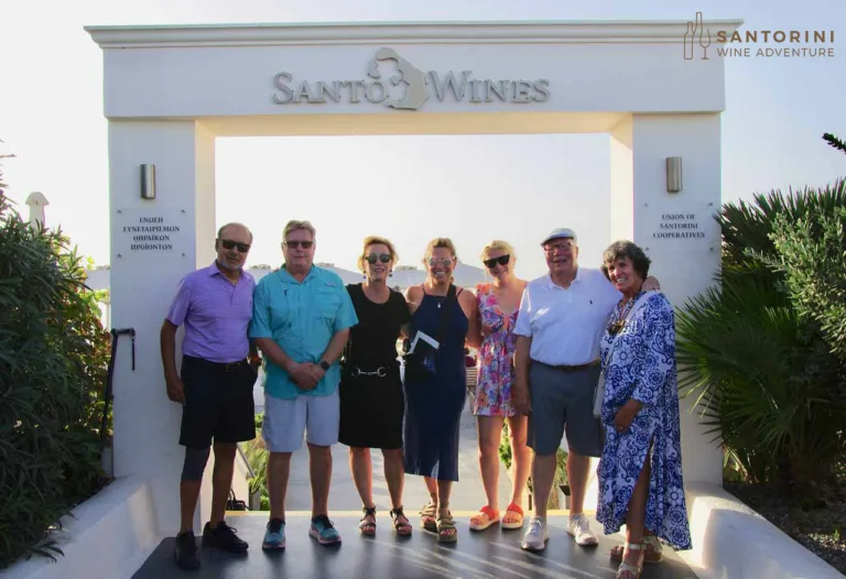 Private Tour: Great Wines and Santorini Famous Towns