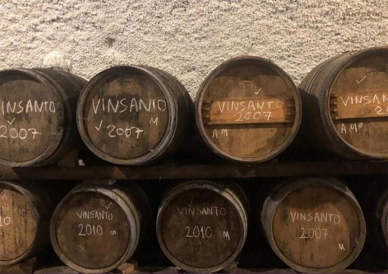 Morning Tour: Santorini Wine Adventure with 12 Tastings and Tapas
