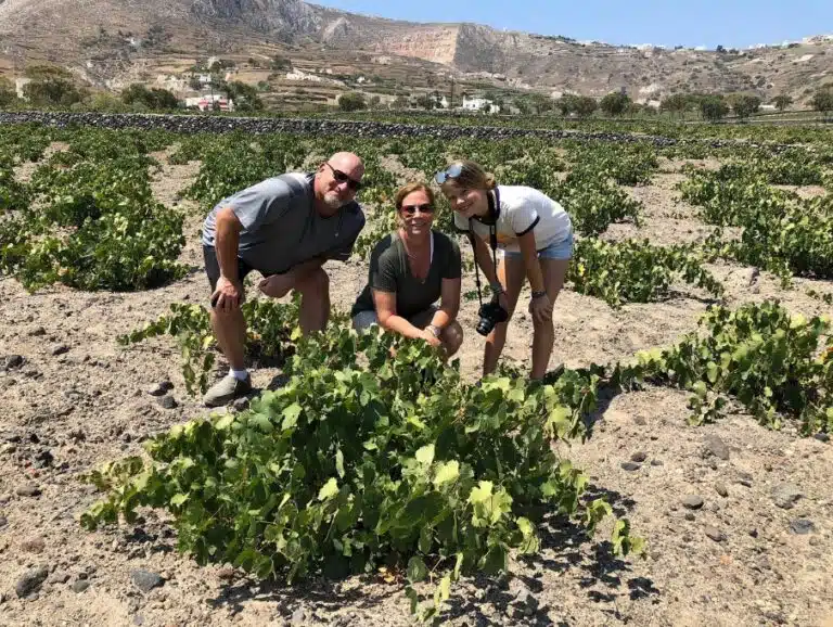 Treasures of Ancient Akrotiri and Santorini Wineries