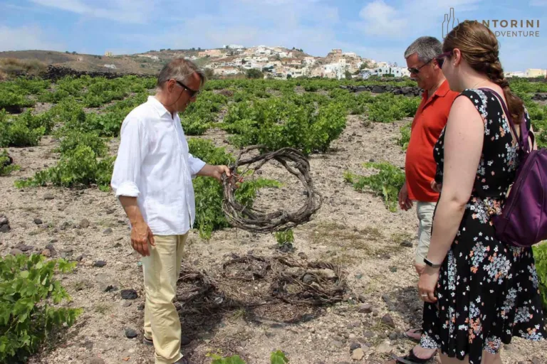 Private Tour: Ancient Akrotiri and Santorini Wineries