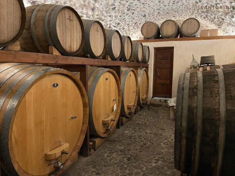 Private Tour: Ancient Akrotiri and Santorini Wineries