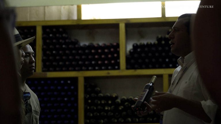 Private Tour: 5-Hour Private Santorini Wine Tour with Dinner