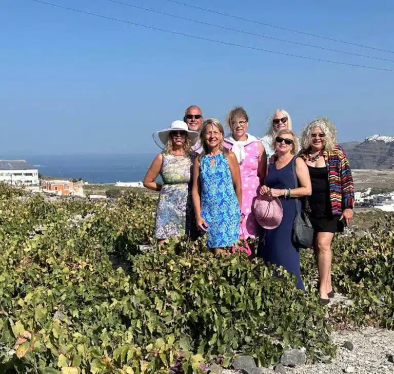 Private Morning Tour: Santorini Private Wine Tour with Lunch