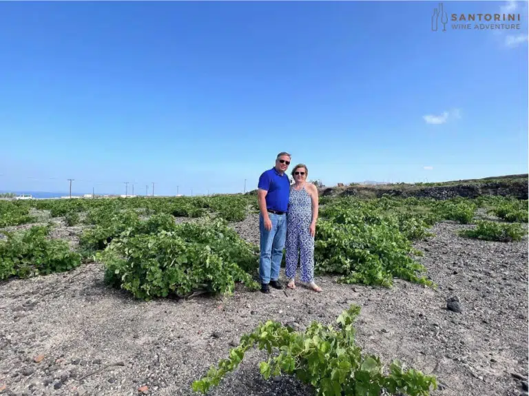 Private Morning Tour: Santorini Private Wine Tour with Lunch