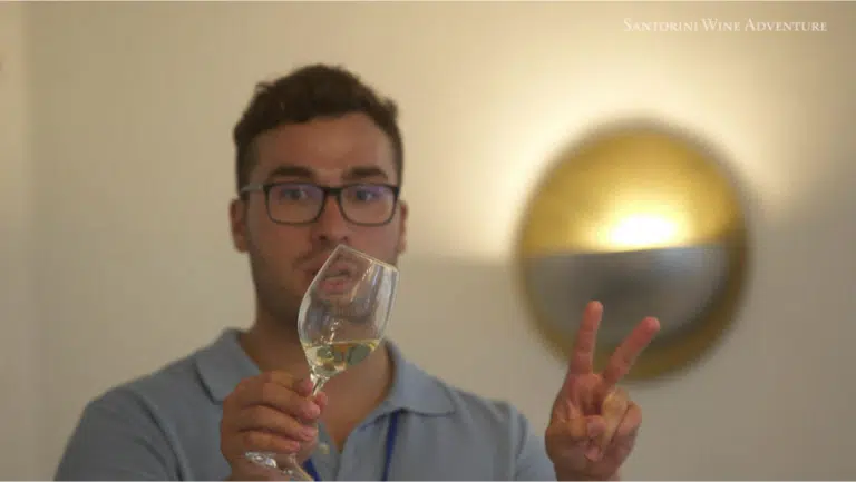 Morning Tour: Santorini Wine Adventure with 12 Tastings and Tapas