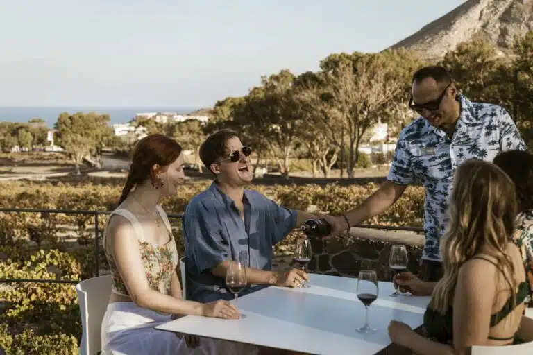 Private Morning Tour: Santorini Private Wine Tour with Lunch