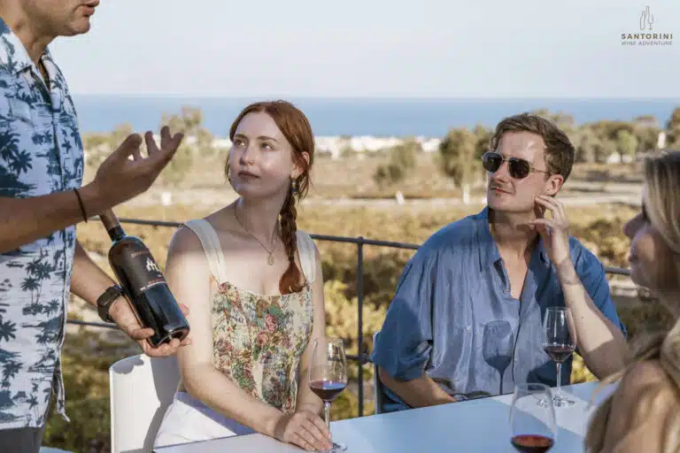 Private Morning Tour: Santorini Wine Adventure
