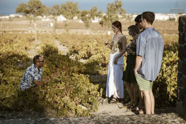 Private Morning Tour: Santorini Wine Adventure