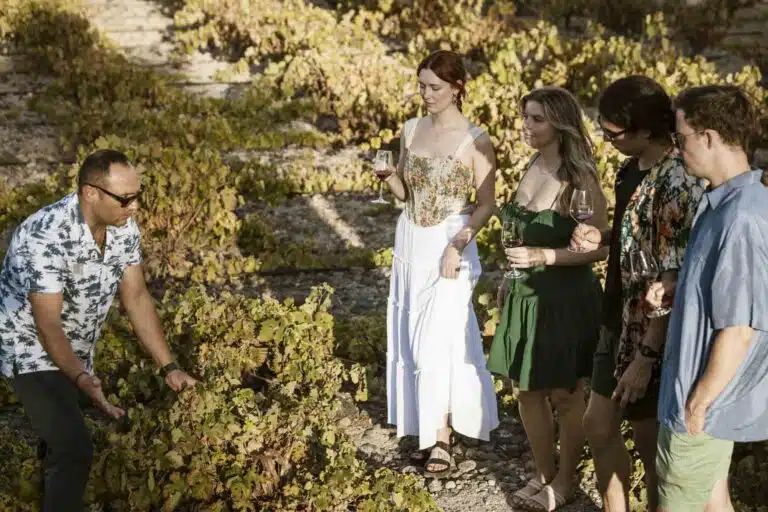 Morning Tour: Santorini Wine Adventure with 12 Tastings and Tapas