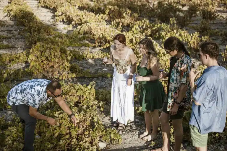 Morning Tour: Santorini Wine Adventure with 12 Tastings and Tapas