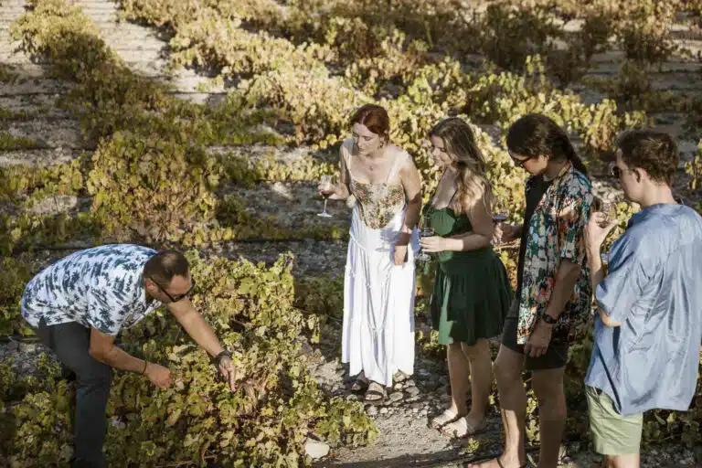 Private Morning Tour: Santorini Wine Adventure