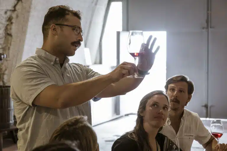 Private Morning Tour: Santorini Wine Adventure