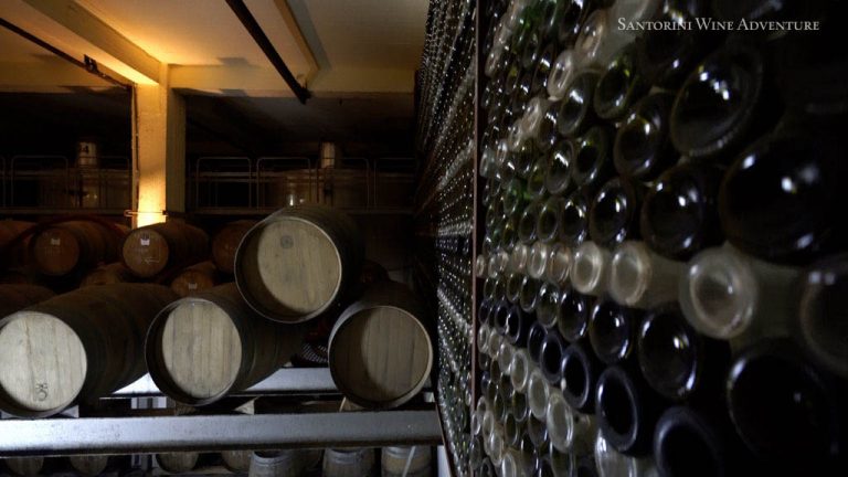 Private Tour: Santorini Wine Adventurevvvvv