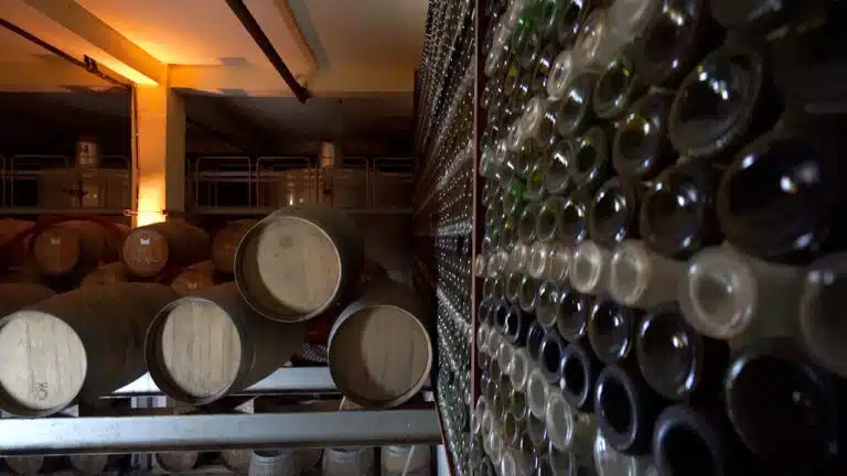 Treasures of Ancient Akrotiri and Santorini Wineries