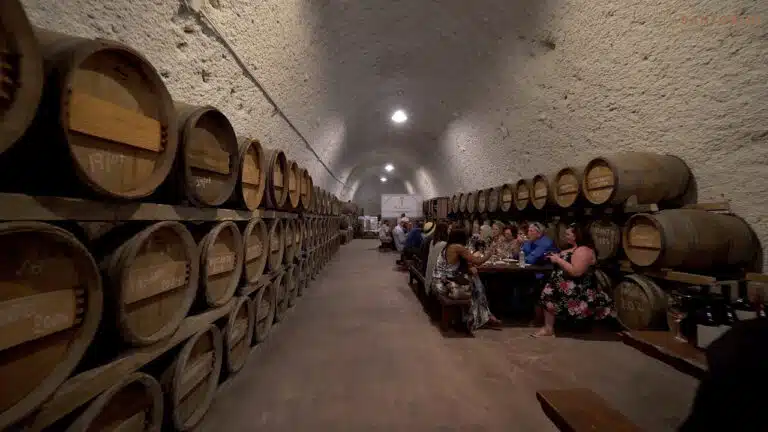 Private Tour: Great Wines and Famous Santorini Towns