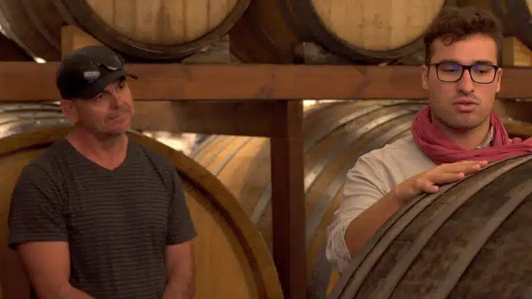 Treasures of Ancient Akrotiri and Santorini Wineries