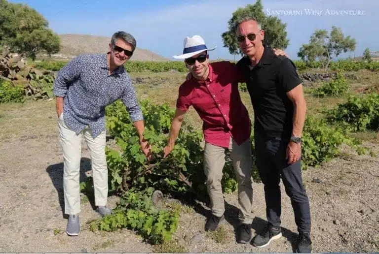Santorini Wine Adventure: Sunset Tour
